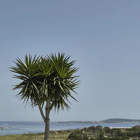 Maria Seaview Near 펜션